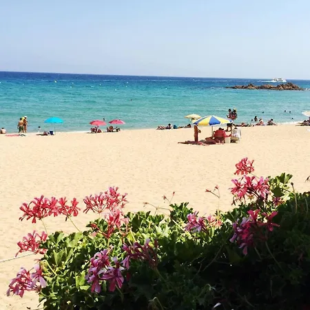 Equiped Fenals Beach *